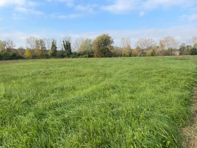 Terreno agricolo in vendita a Silea (TV)