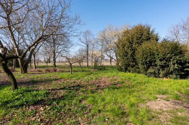 Casa singola in vendita a San Biagio di Callalta