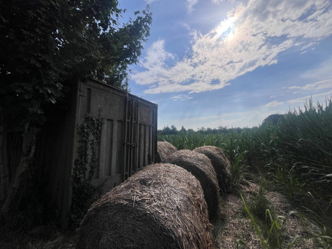 Terreno Agricolo in Vendita a Villorba