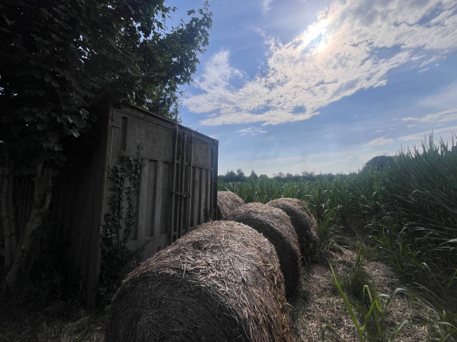 Terreno Agricolo in vendita a Villorba