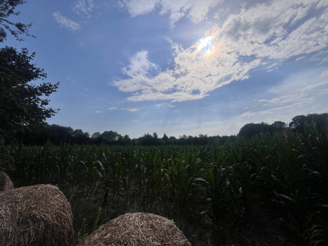 Terreno Agricolo in vendita a Villorba