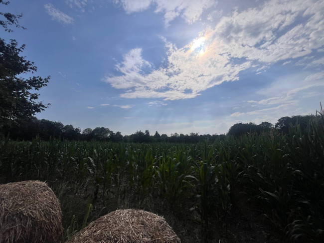 Terreno Agricolo in vendita a Villorba