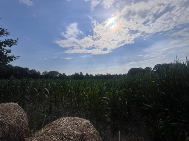 Terreno Agricolo in vendita a Villorba