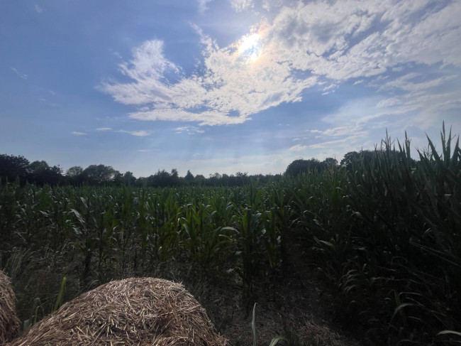 Terreno Agricolo in vendita a Villorba