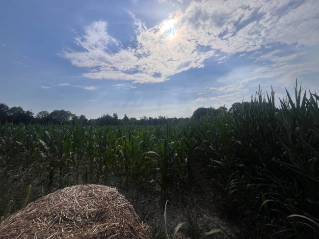 Terreno Agricolo in vendita a Villorba