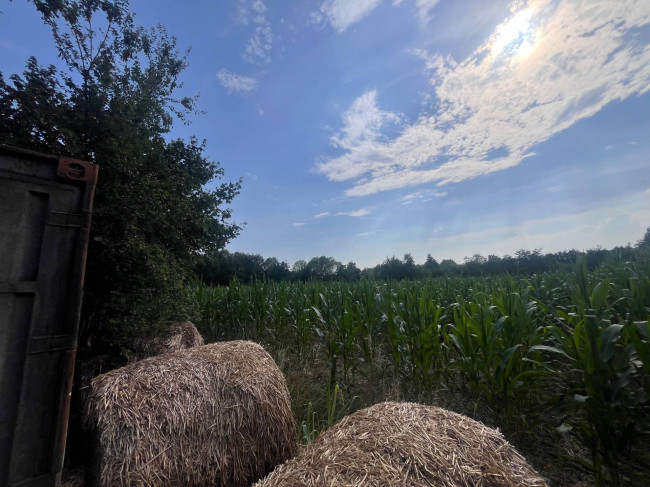 Terreno Agricolo in vendita a Villorba