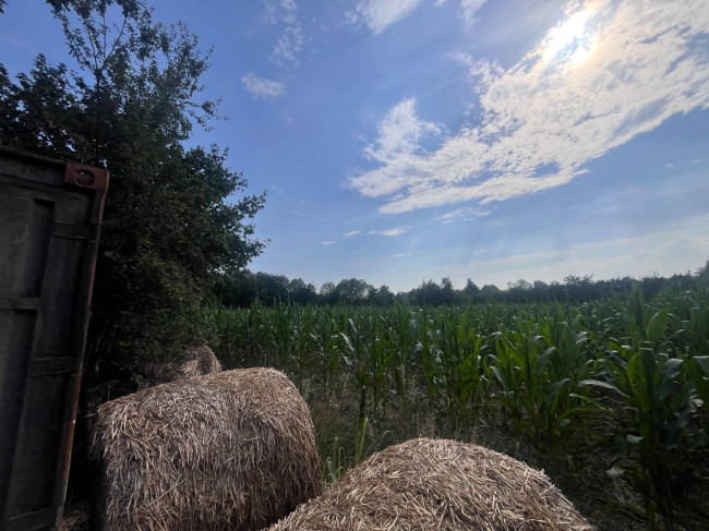 Terreno Agricolo in vendita a Villorba