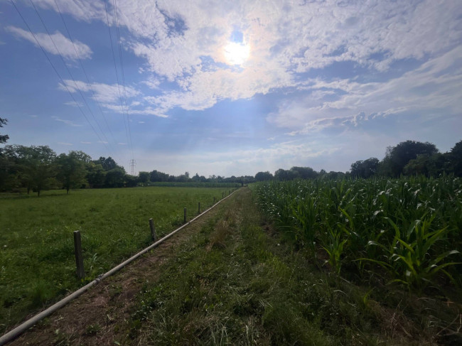 Terreno Agricolo in vendita a Villorba