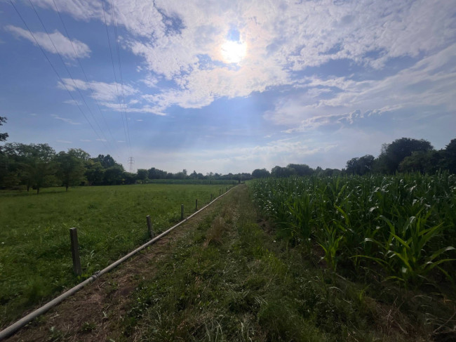 Terreno Agricolo in vendita a Villorba