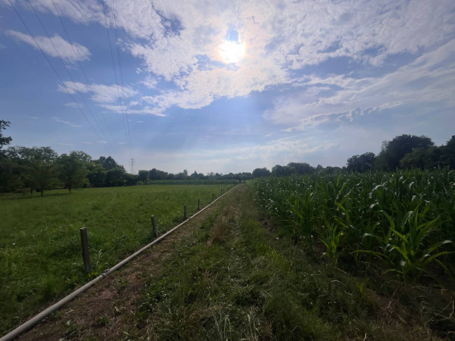 Terreno Agricolo in vendita a Villorba