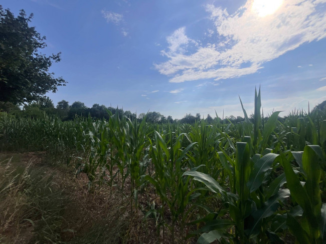 Terreno Agricolo in vendita a Villorba