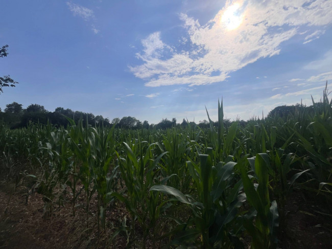 Terreno Agricolo in vendita a Villorba
