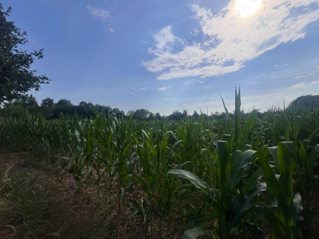 Terreno Agricolo in vendita a Villorba