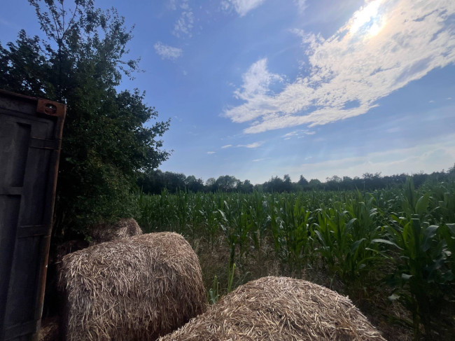 Terreno Agricolo in vendita a Villorba