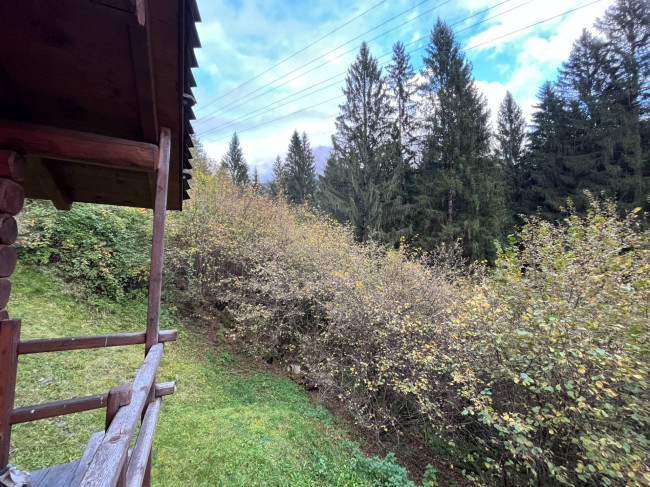 Casa indipendente in vendita a Primiero San Martino di Castrozza