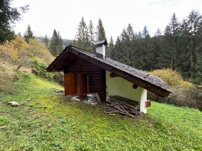 Casa indipendente in vendita a Primiero San Martino di Castrozza
