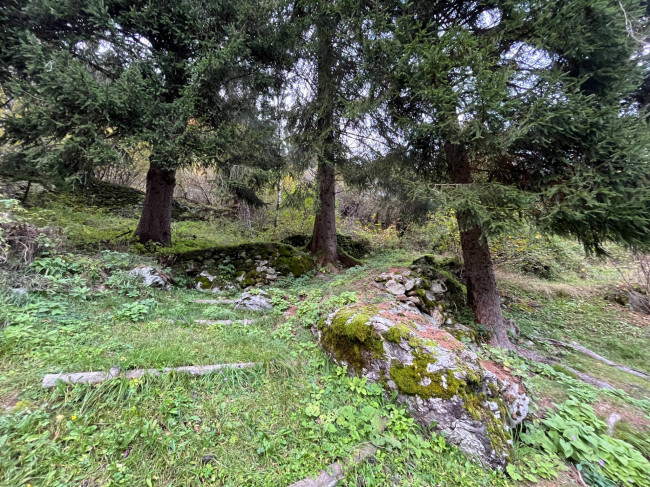 Casa indipendente in vendita a Primiero San Martino di Castrozza