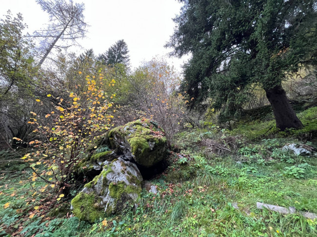 Casa indipendente in vendita a Primiero San Martino di Castrozza