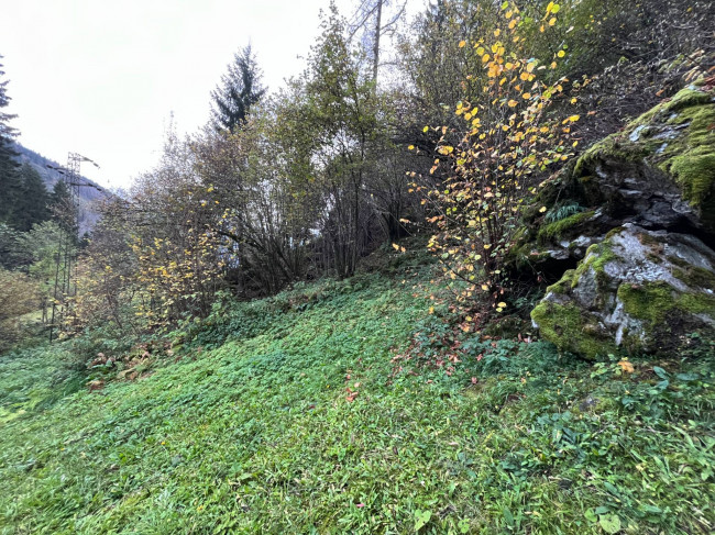 Casa indipendente in vendita a Primiero San Martino di Castrozza