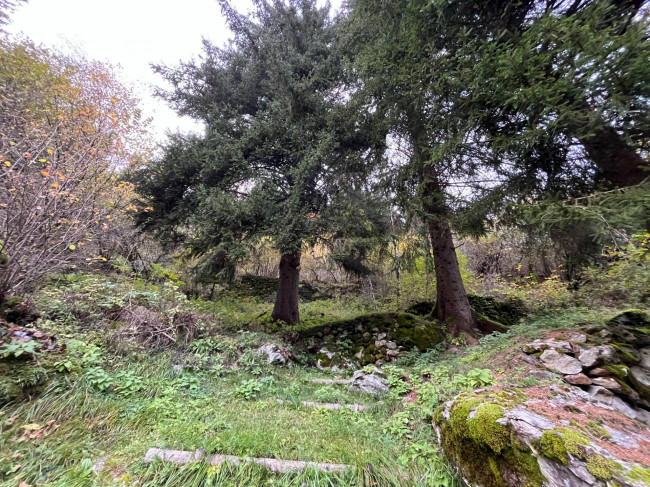 Casa indipendente in vendita a Primiero San Martino di Castrozza