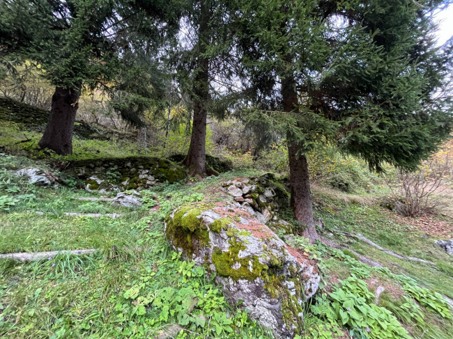 Casa indipendente in vendita a Primiero San Martino di Castrozza