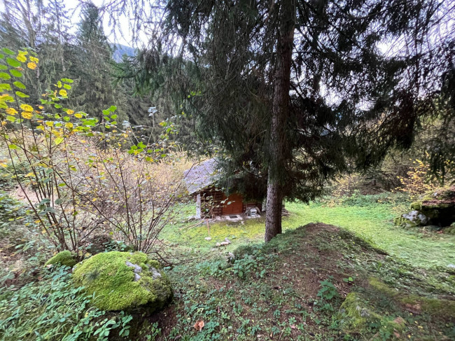 Casa indipendente in vendita a Primiero San Martino di Castrozza