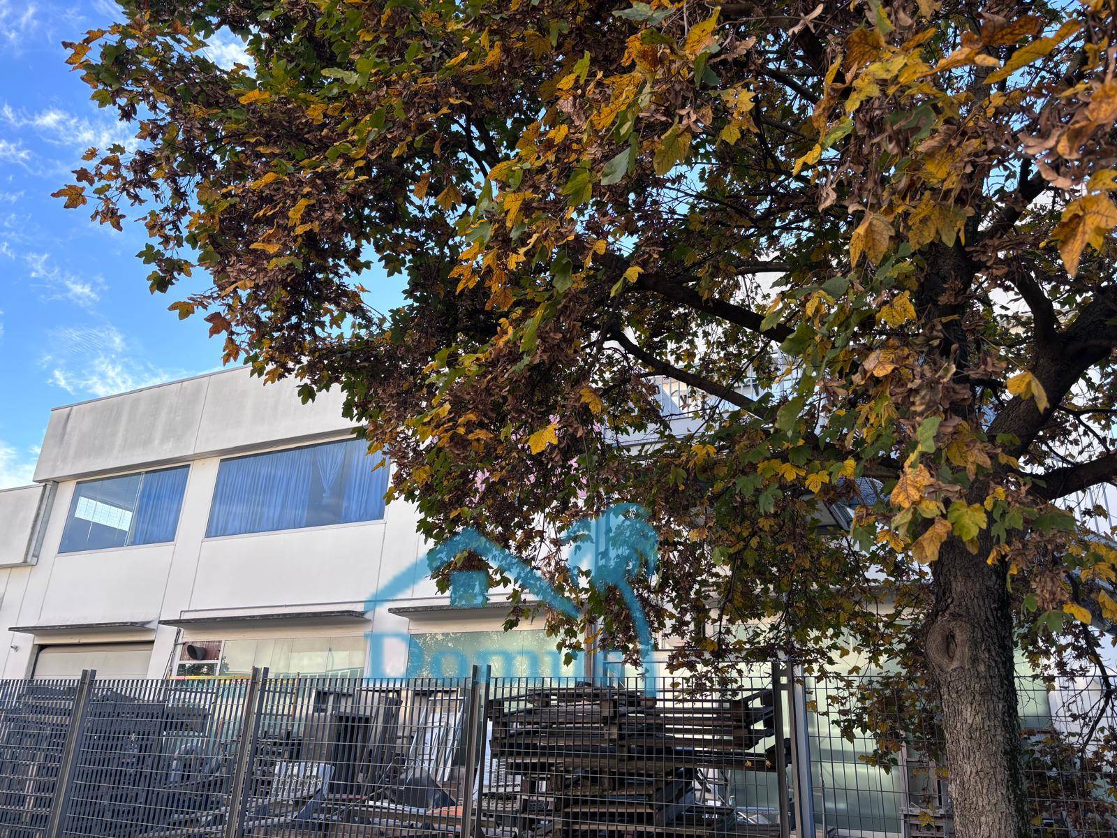 Capannone in affitto a Scalenghe