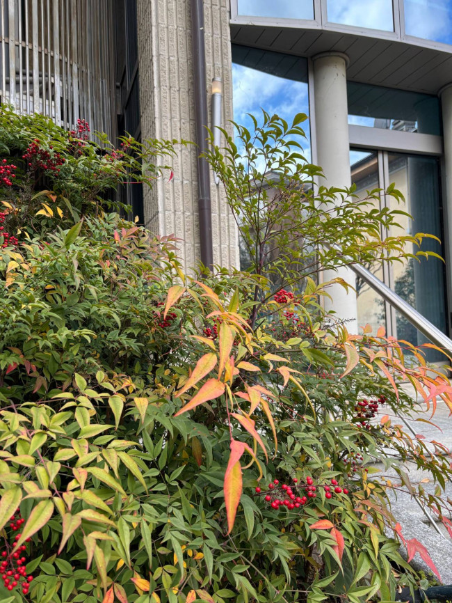 Villa in vendita a Pinerolo