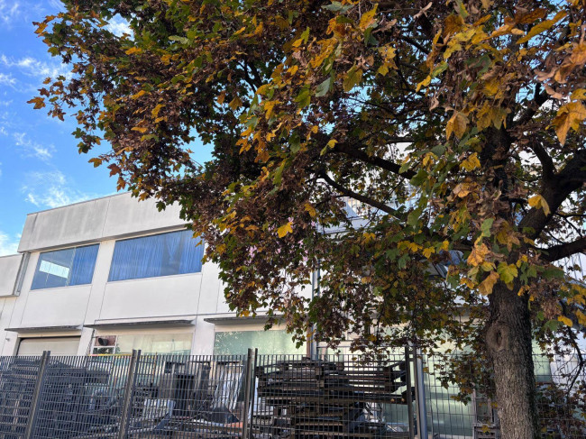 Capannone in affitto a Scalenghe