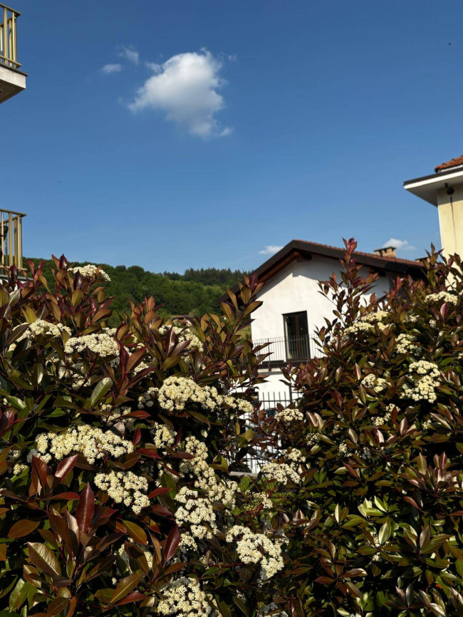 Casa indipendente in vendita a San Pietro Val Lemina