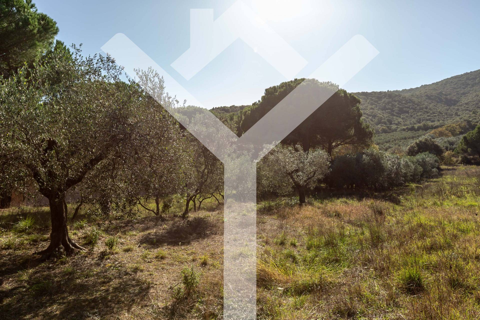 Villa for Sale to Castiglione della Pescaia