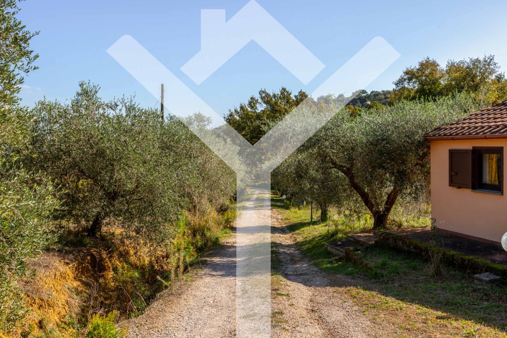 Villa for Sale to Castiglione della Pescaia