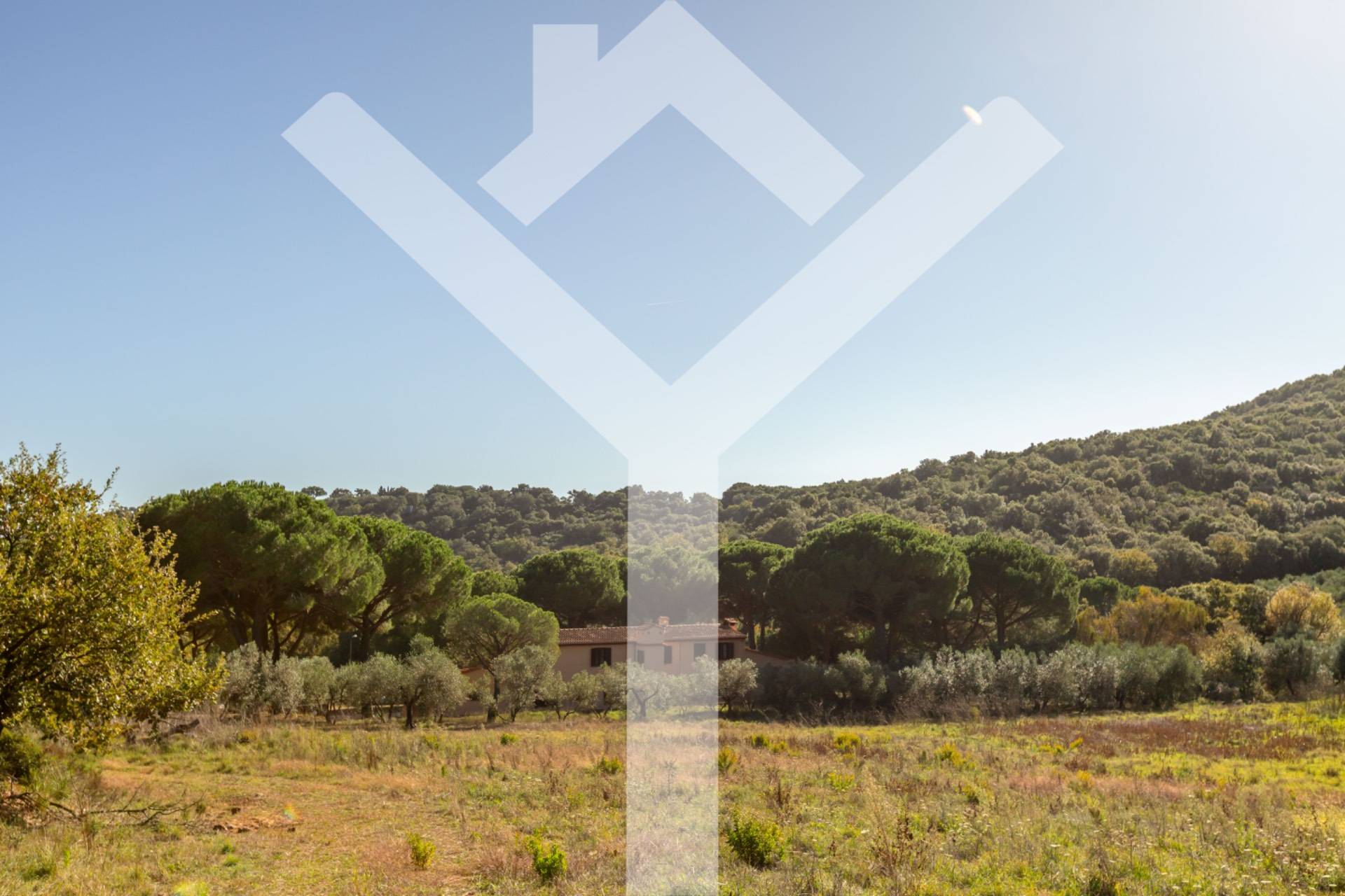 Villa for Sale to Castiglione della Pescaia