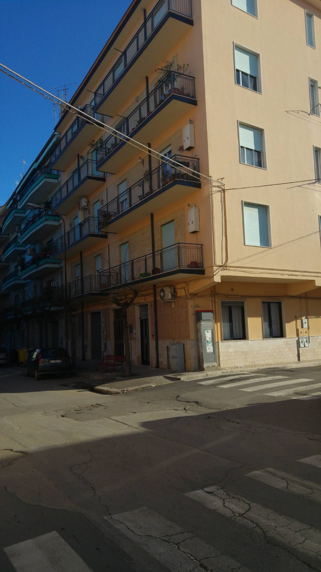 Appartamento SAN NICANDRO GARGANICO vendita  CENTRO  Pronto Casa di Alessandro Pertosa