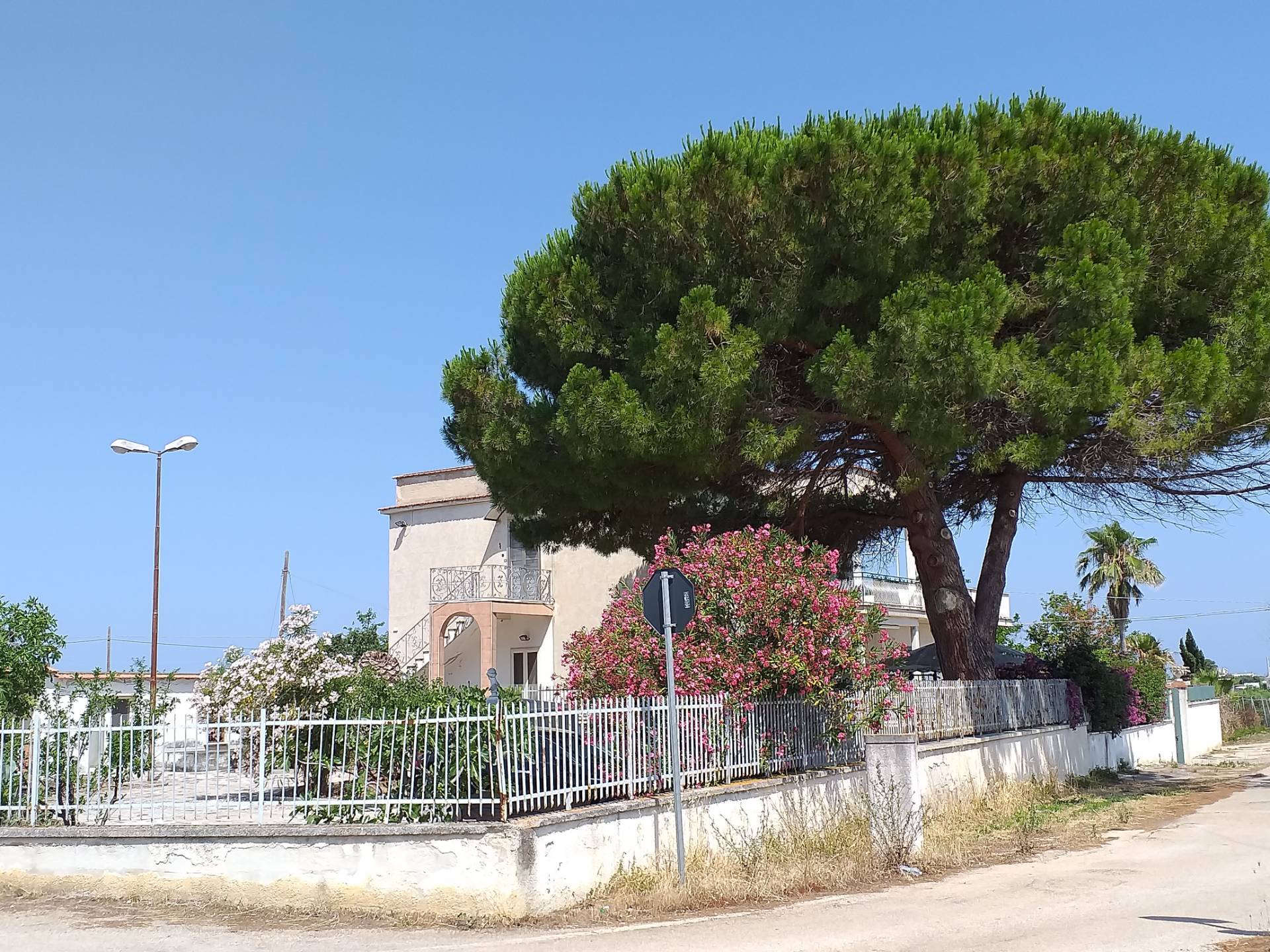  san nicandro garganico vendita quart:  pronto casa di alessandro pertosa