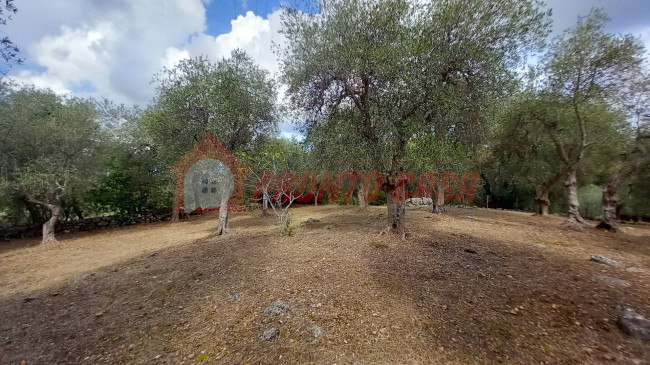 Terreno Agricolo in vendita a Ischitella