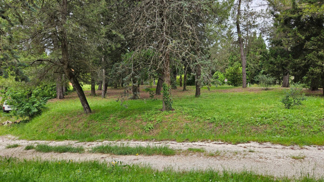 Casa colonica in Vendita a Cartoceto