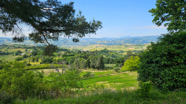 Villa in Vendita a Colli al Metauro