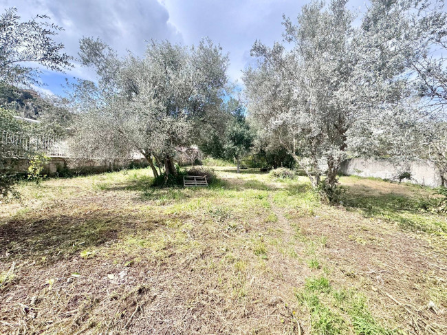 Terreno Agricolo in Affitto a Palermo