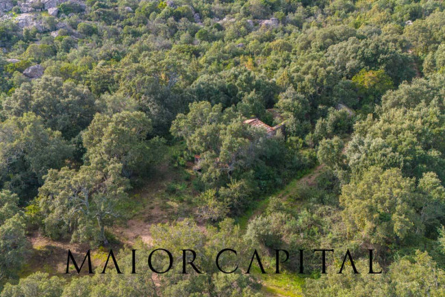 Terreno agricolo in vendita a Calangianus (SS)