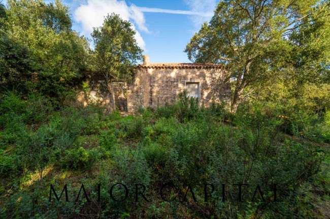 Terreno agricolo in vendita a Calangianus (SS)