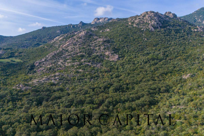 Terreno agricolo in vendita a Calangianus (SS)