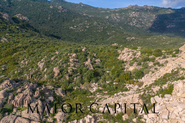 Terreno agricolo in vendita a Calangianus (SS)