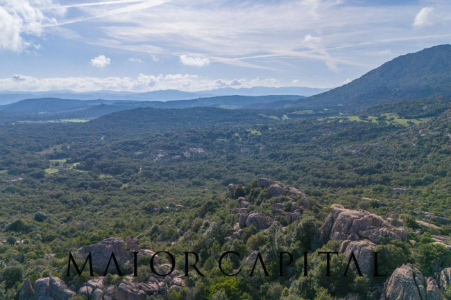 Terreno agricolo in vendita a Calangianus (SS)