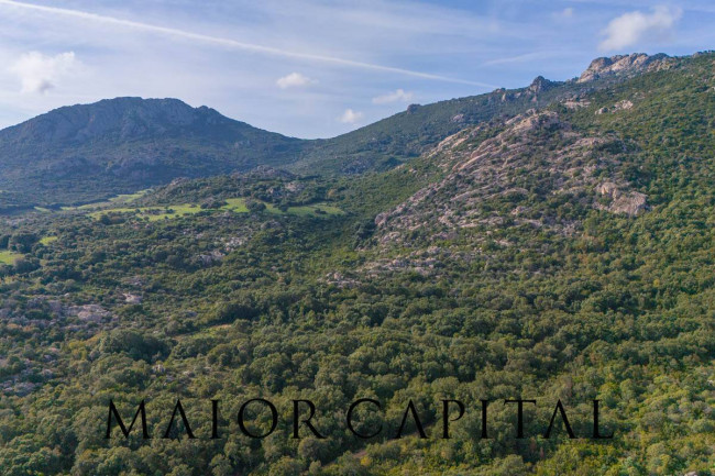 Terreno agricolo in vendita a Calangianus (SS)