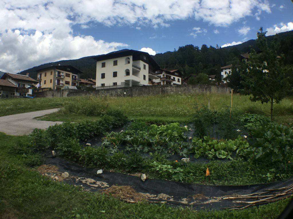 Foto terreno in vendita a Giustino (Trento)