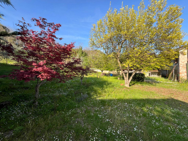  for sale in Gorizia