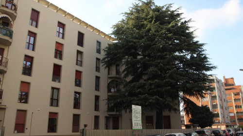 two-room apartment for rent in Novara