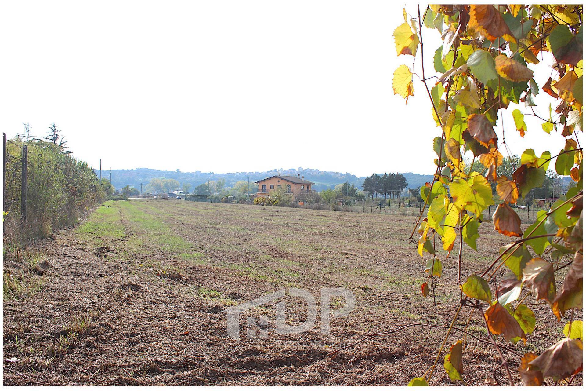Terreno agricolo in vendita a Palombara Sabina (RM)