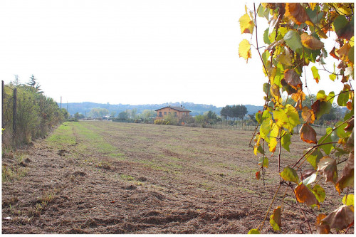 Terreno Agricolo in Vendita a Palombara Sabina